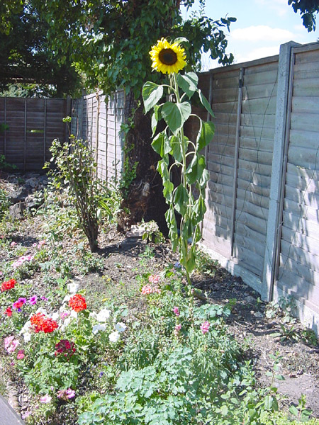 DSC00053
