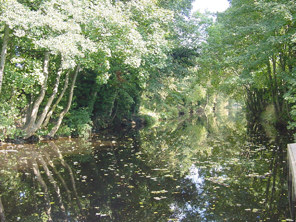 DSC00024